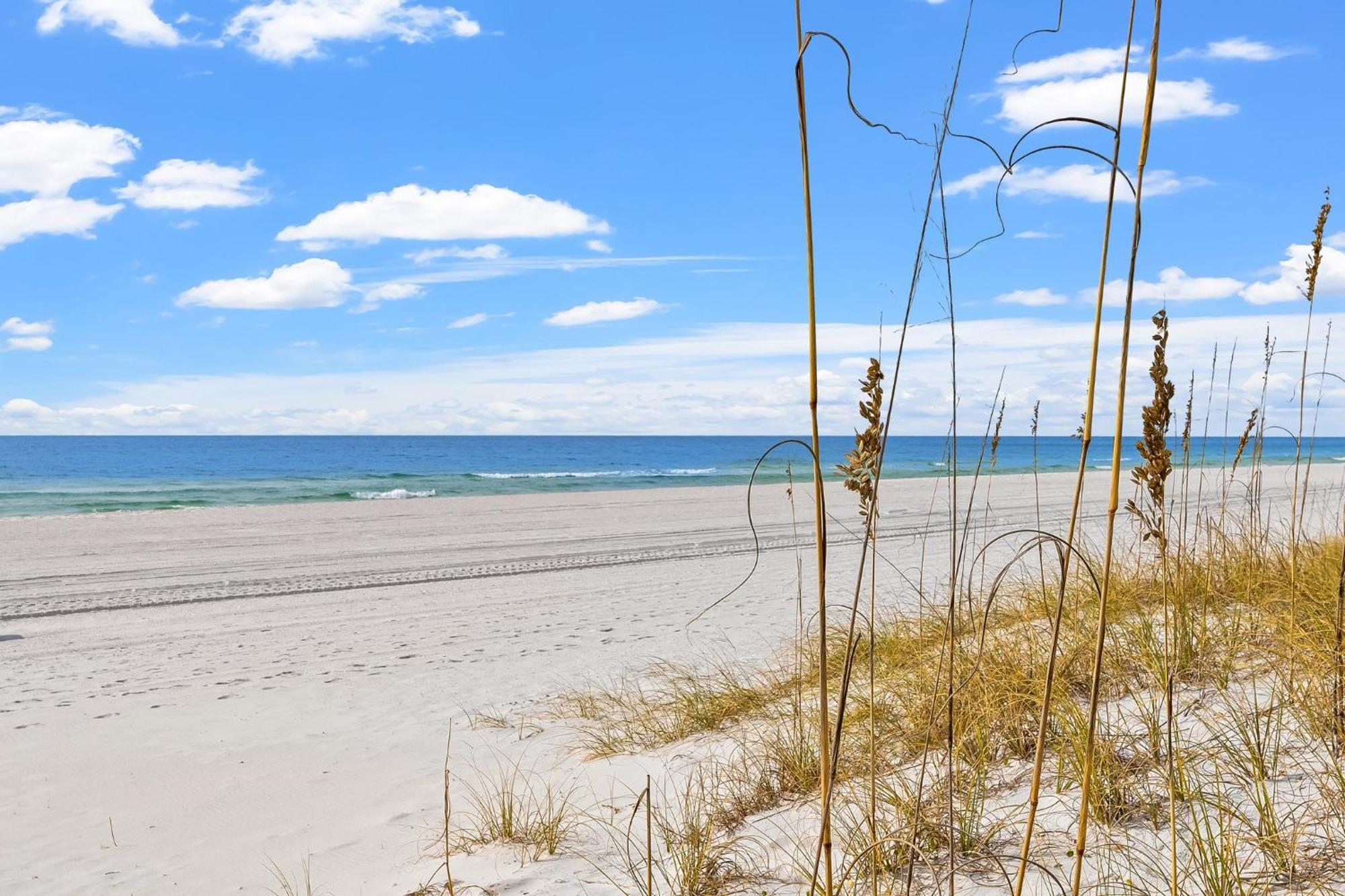 Treasure Island 1607 Lägenhet Panama City Beach Exteriör bild